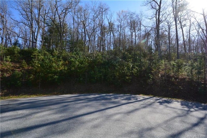 Property image 5 at 61 Nuthatch Court, Fairview, NC 28730