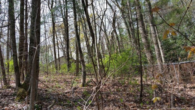 Property image 2 at 99999 Mayfair Place, Arden, NC 28704