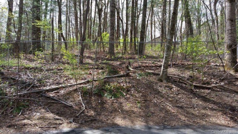 Property image 3 at 99999 Mayfair Place, Arden, NC 28704