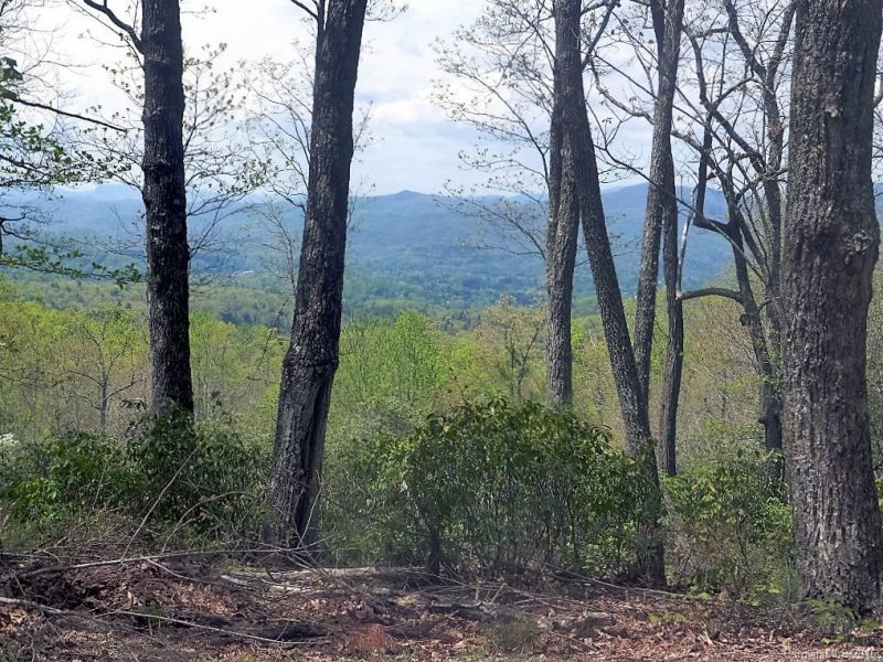 Property image 2 at 2b Reserve Road, Pisgah Forest, NC 28768