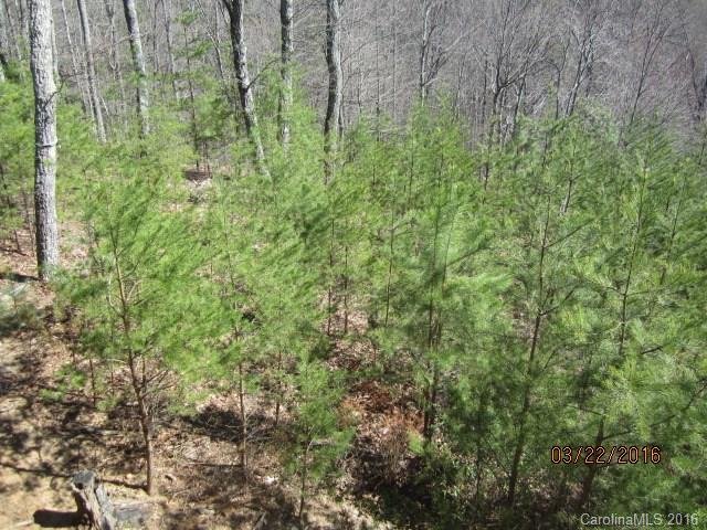Property image 2 at Lot 593 Grey Rock Road, Lake Lure, NC 28756