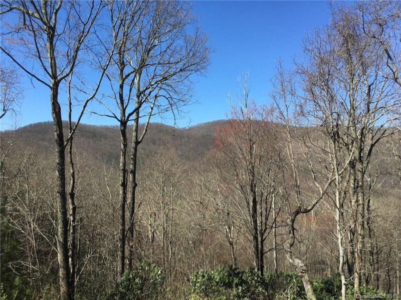 Property image 2 at 110 Bryant Road, Swannanoa, NC 28778