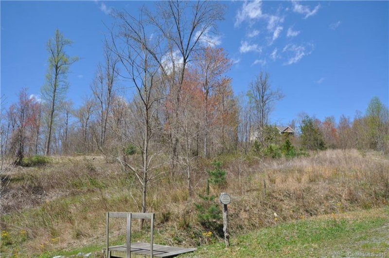 Property image 2 at 1063 Somersby Parkway, Hendersonville, NC 28739