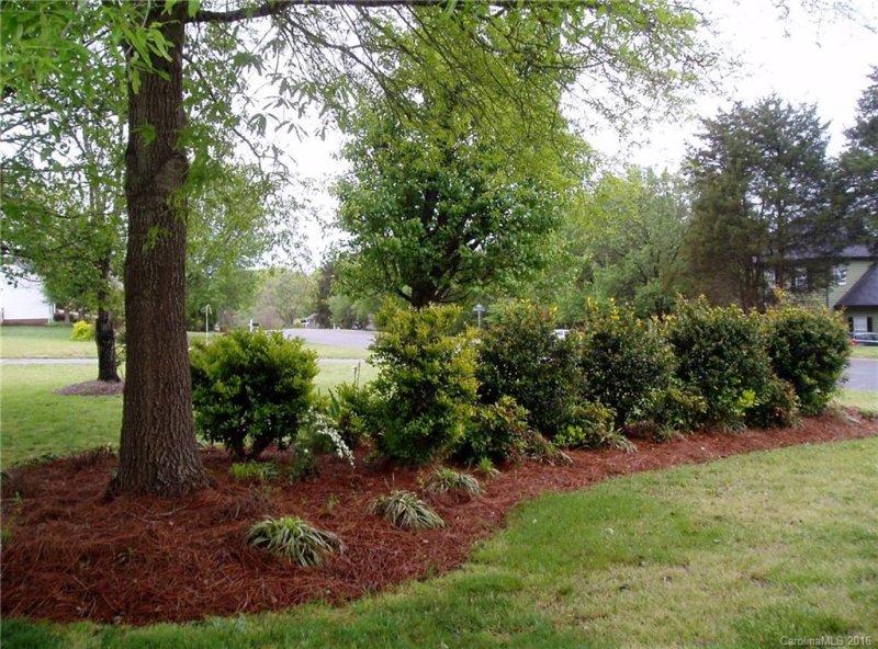 Property image 3 at 3029 Tom Savage Drive, Harrisburg, NC 28075