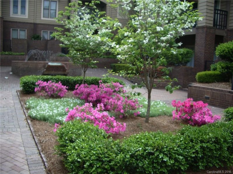 Property image 4 at 1101 Morehead Street, Charlotte, NC 28204