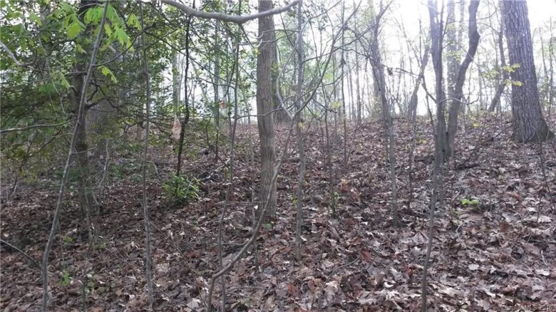 Property image 4 at 000 Adkin Drive, Iron Station, NC 28080