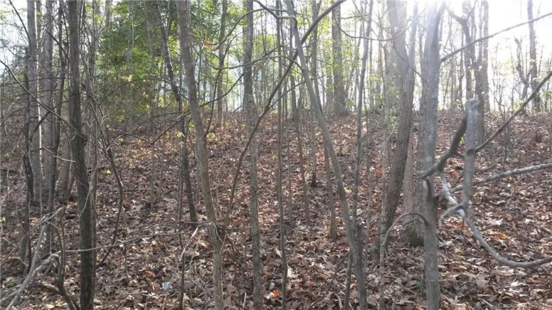 Property image 5 at 000 Adkin Drive, Iron Station, NC 28080