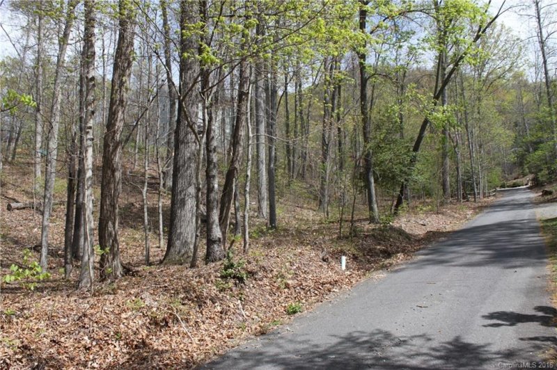 Property image 3 at 4 Coneflower Court, Black Mountain, NC 28711