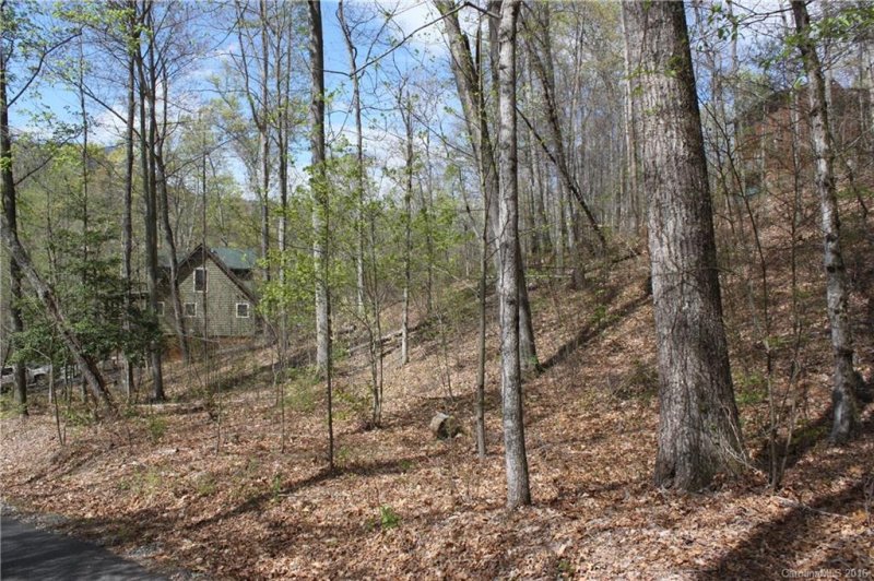 Property image 5 at 4 Coneflower Court, Black Mountain, NC 28711
