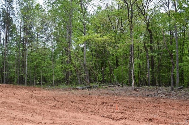 Property image 4 at 2804 Sweeping Pine Drive, Denver, NC 28037