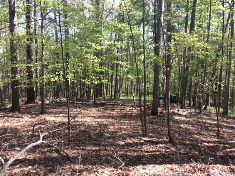 Property image 4 at Lot 4 Gaston Mountain Road, Asheville, NC 28806