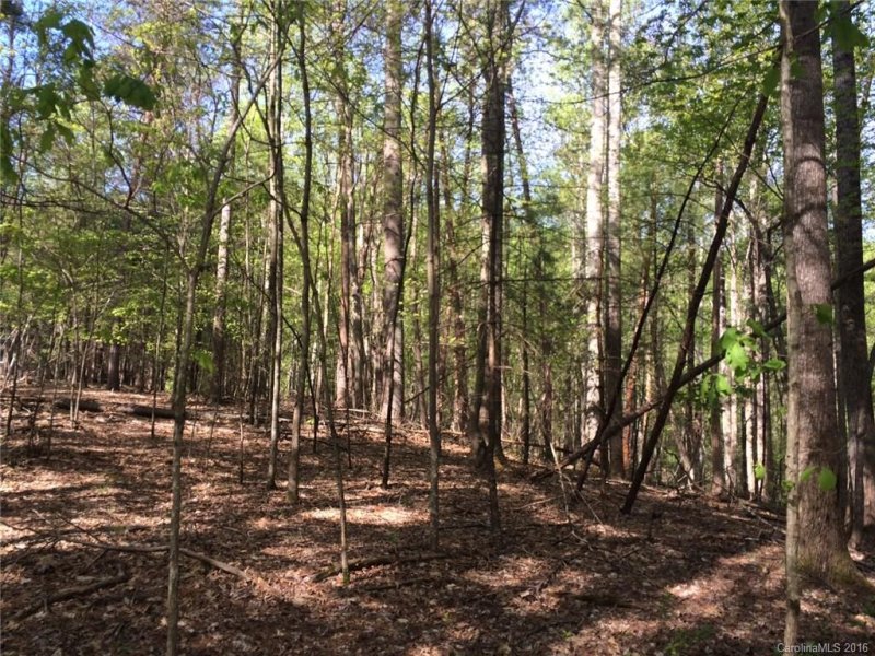 Property image 5 at Lot 4 Gaston Mountain Road, Asheville, NC 28806