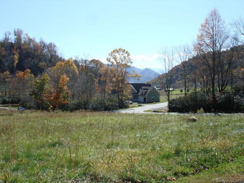 Property image 4 at Lot 8 Buckeye Branch Drive, Clyde, NC 28721