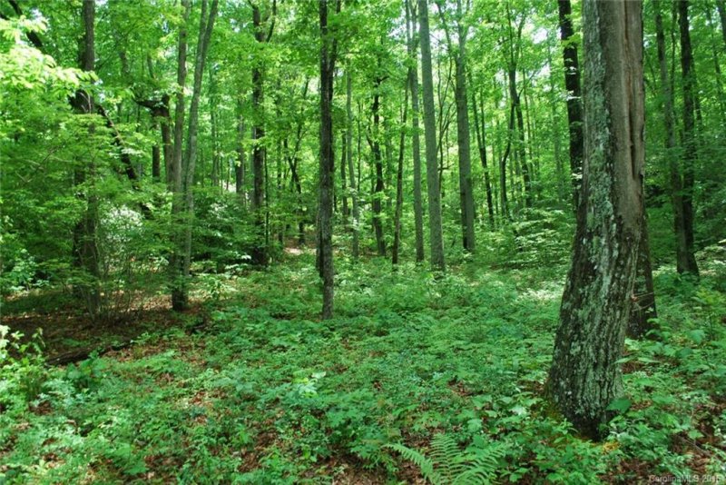 Property image 3 at Chc Reserve Road, Pisgah Forest, NC 28768