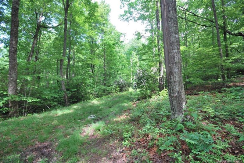 Property image 4 at Chc Reserve Road, Pisgah Forest, NC 28768