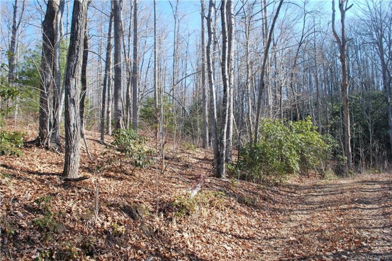 Property image 5 at Chc Reserve Road, Pisgah Forest, NC 28768