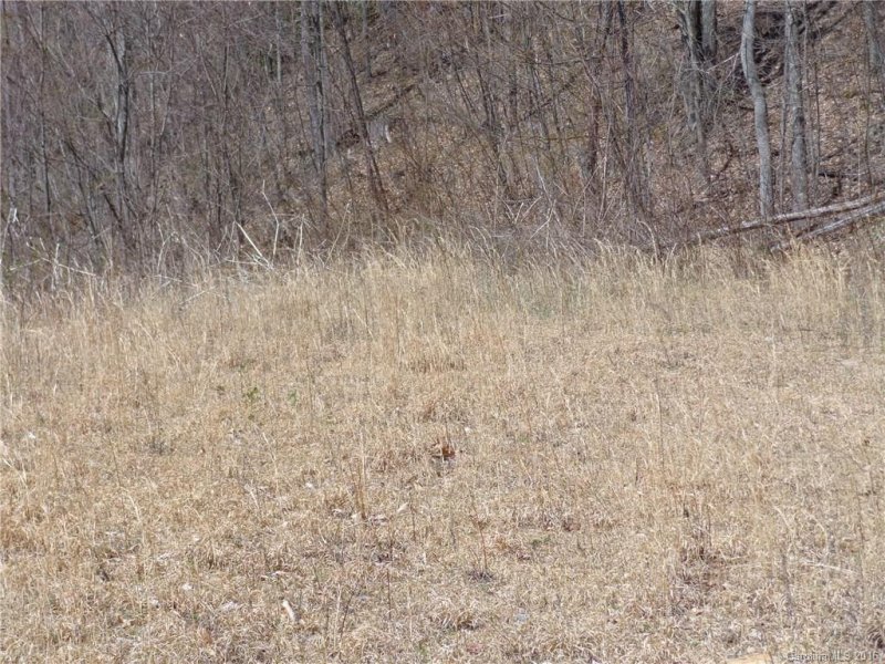 Property image 3 at Lot O Holli Heights, Clyde, NC 28721