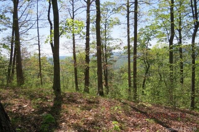 Property image 4 at 0 Mountain Forest Drive, Union Mills, NC 28167