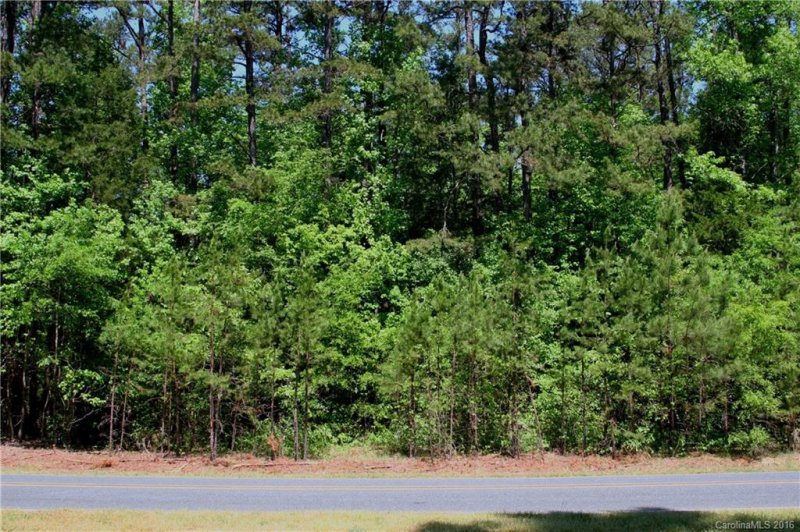 Property image 4 at Lot 28 Cane Pointe Nesbit Road, Waxhaw, NC 28173
