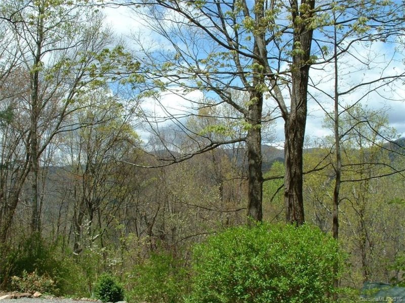 Property image 2 at 595 Forest Drive, Maggie Valley, NC 28751