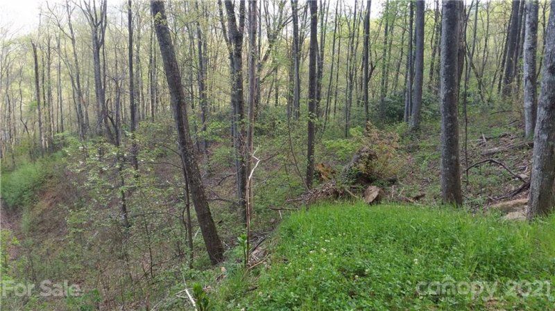 Property image 2 at 00 Schotts Pass Way, Waynesville, NC 28785