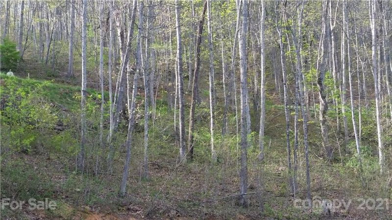 Property image 3 at 00 Schotts Pass Way, Waynesville, NC 28785
