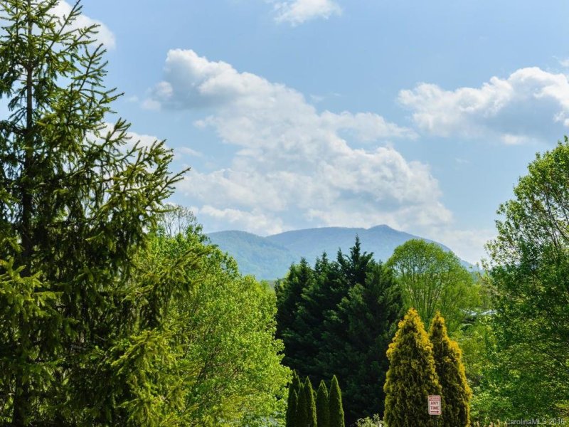 Property image 5 at 25 Wilson Creek, Asheville, NC 28803