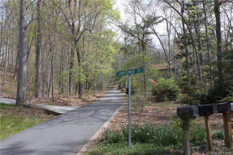 Property image 3 at 6 Coneflower Court, Black Mountain, NC 28711