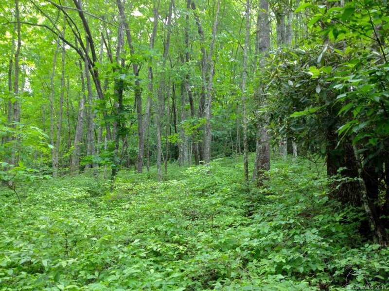 Property image 2 at Lot 2 Steel Creek Road, Brevard, NC 28712