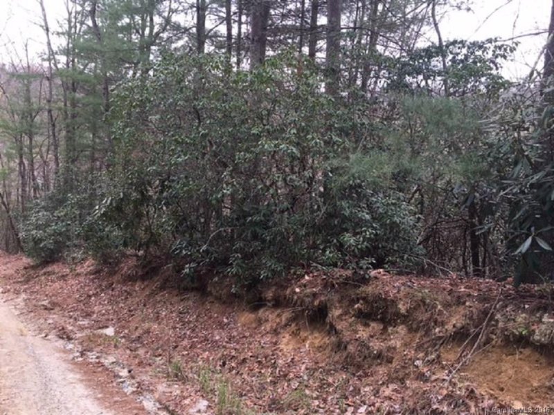 Property image 3 at Lot 7 8 Laurel Cove Retreat None, Etowah, NC 28729