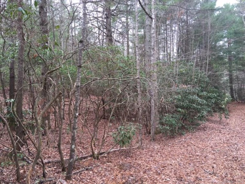 Property image 4 at Lot 7 8 Laurel Cove Retreat None, Etowah, NC 28729