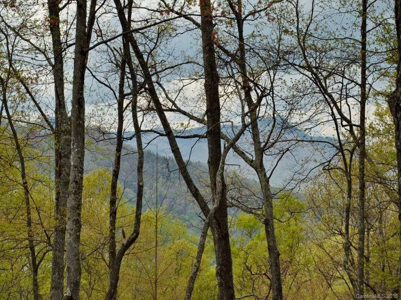 Property image 2 at 113 Auld Rock Road, Waynesville, NC 28786