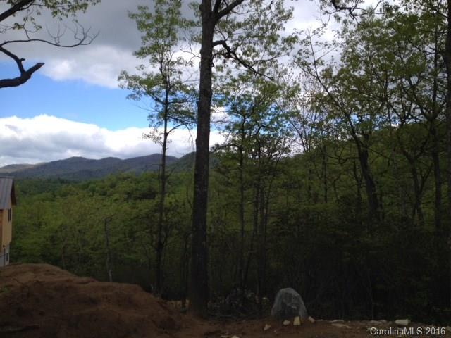 Property image 2 at 99999 Burnt Ridge Trail, Black Mountain, NC 28711