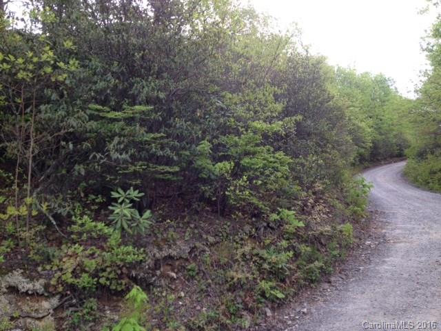 Property image 3 at 99999 Burnt Ridge Trail, Black Mountain, NC 28711