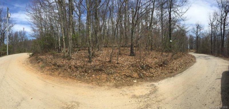 Property image 4 at 99999 Burnt Ridge Trail, Black Mountain, NC 28711