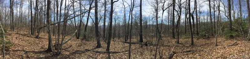 Property image 5 at 99999 Burnt Ridge Trail, Black Mountain, NC 28711