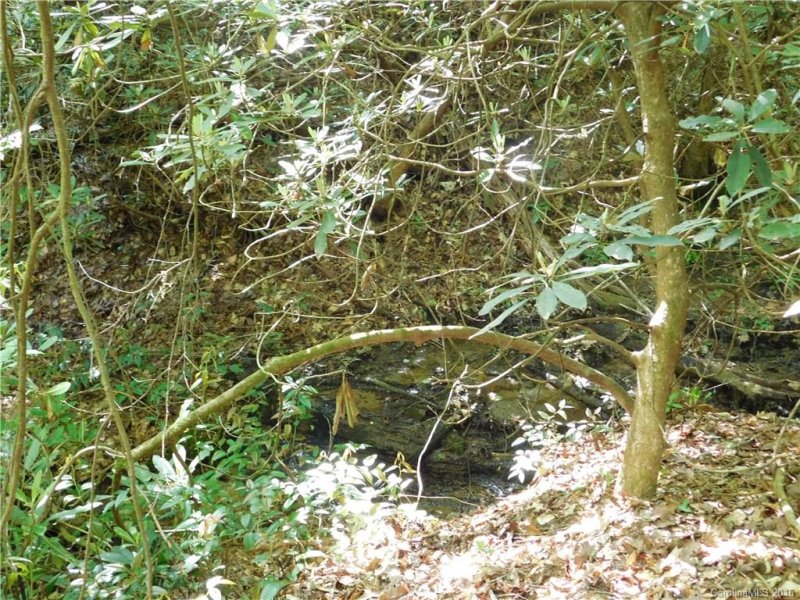 Property image 2 at 208 Gladiola Drive, Pisgah Forest, NC 28768