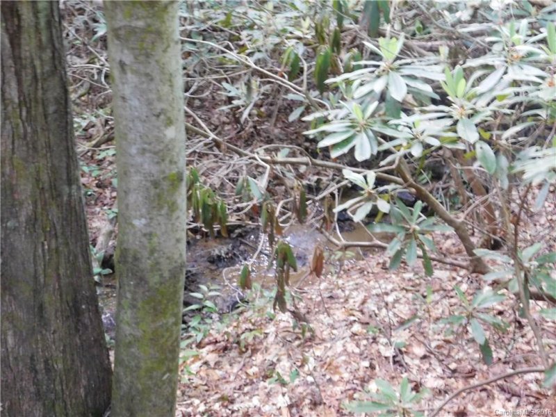 Property image 3 at 208 Gladiola Drive, Pisgah Forest, NC 28768