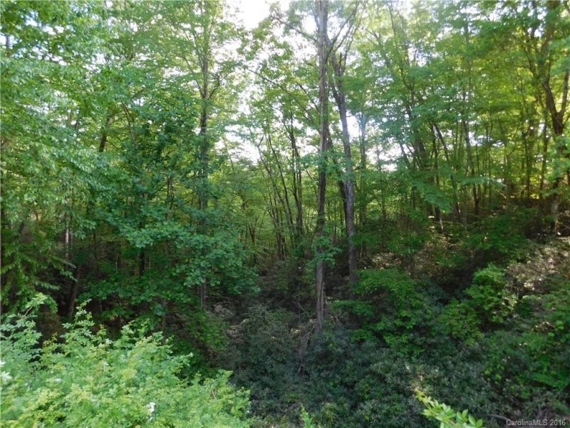 Property image 4 at 208 Gladiola Drive, Pisgah Forest, NC 28768