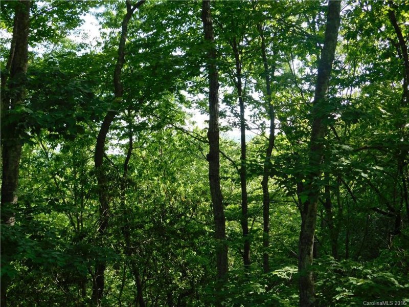 Property image 5 at 208 Gladiola Drive, Pisgah Forest, NC 28768