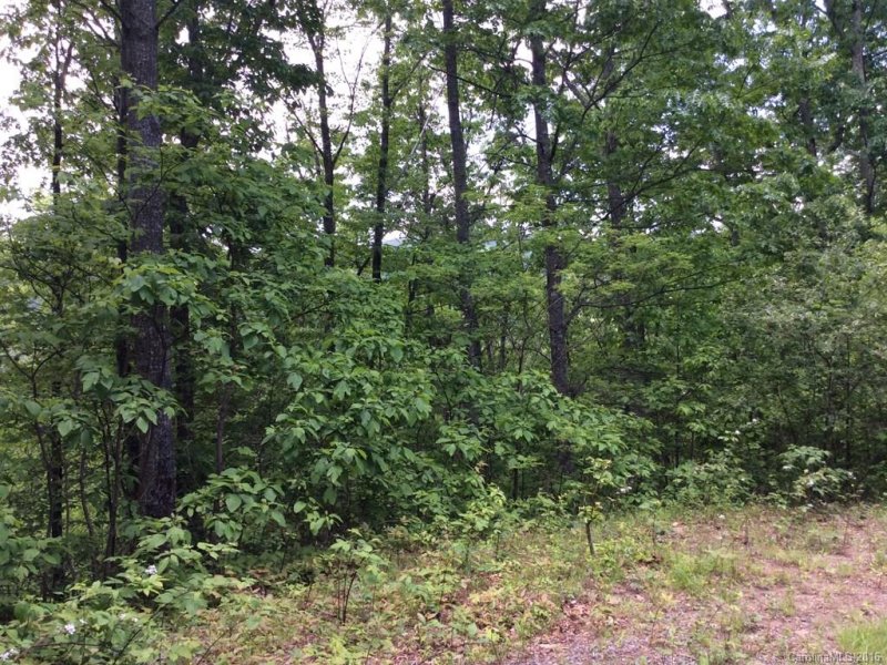 Property image 3 at 16 Will Campbell Road, Swannanoa, NC 28778