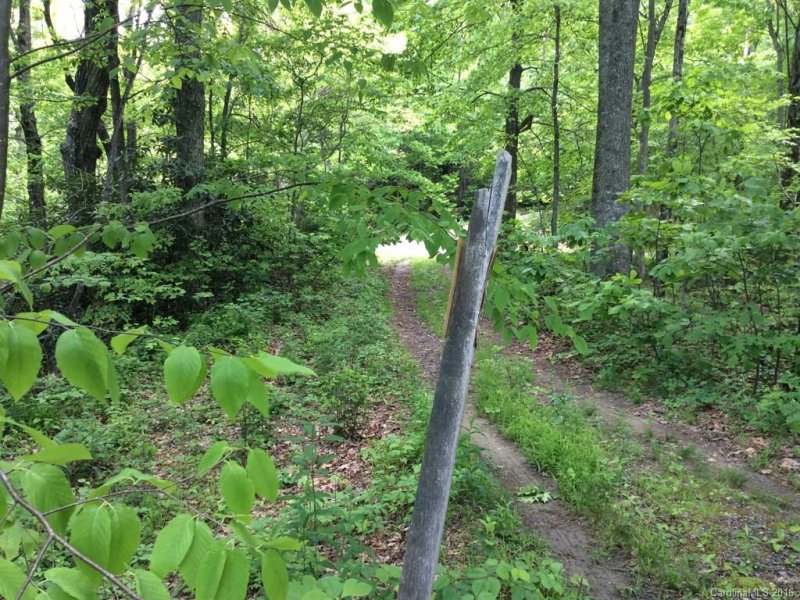 Property image 5 at 16 Will Campbell Road, Swannanoa, NC 28778