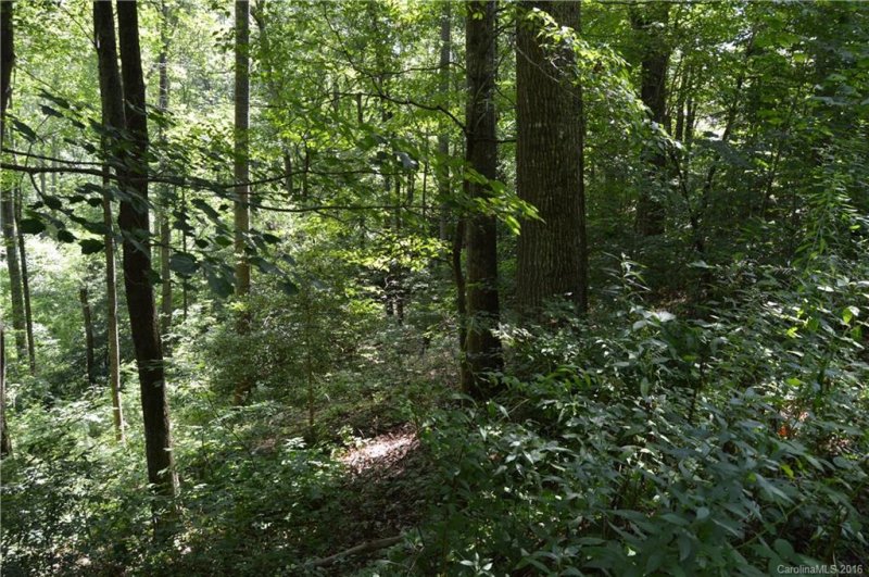 Lot 14 Timber Park Drive