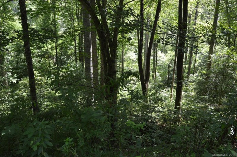 Property image 2 at Lot 14 Timber Park Drive, Black Mountain, NC 28711