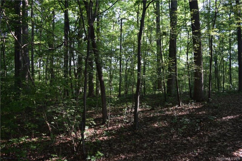 Property image 3 at 11900 Mountain Crest Circle, Charlotte, NC 28216