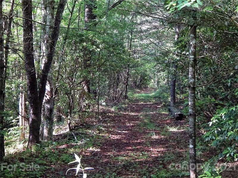 000 Fox Crossing None