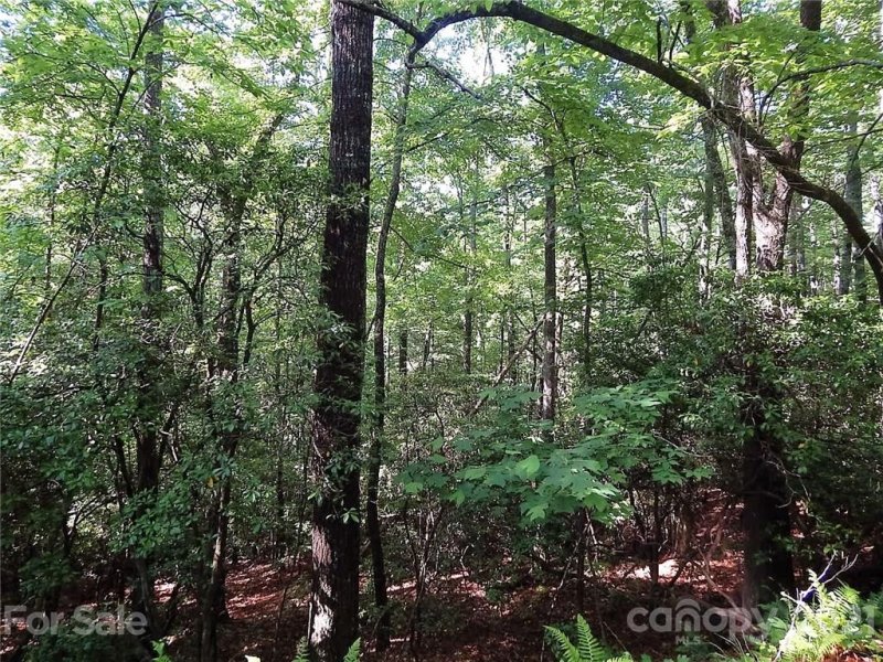 Property image 2 at 000 Fox Crossing None, Rosman, NC 28772