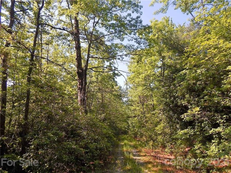 Property image 3 at 000 Fox Crossing None, Rosman, NC 28772