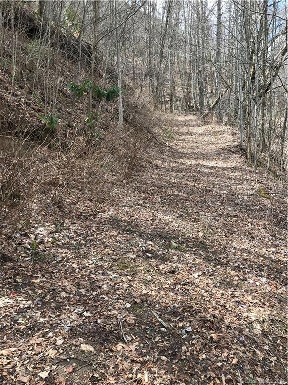 Property image 2 of Lot 5 Section 10 Julalbo Road in Hawks Ridge, Whittier, NC 28789