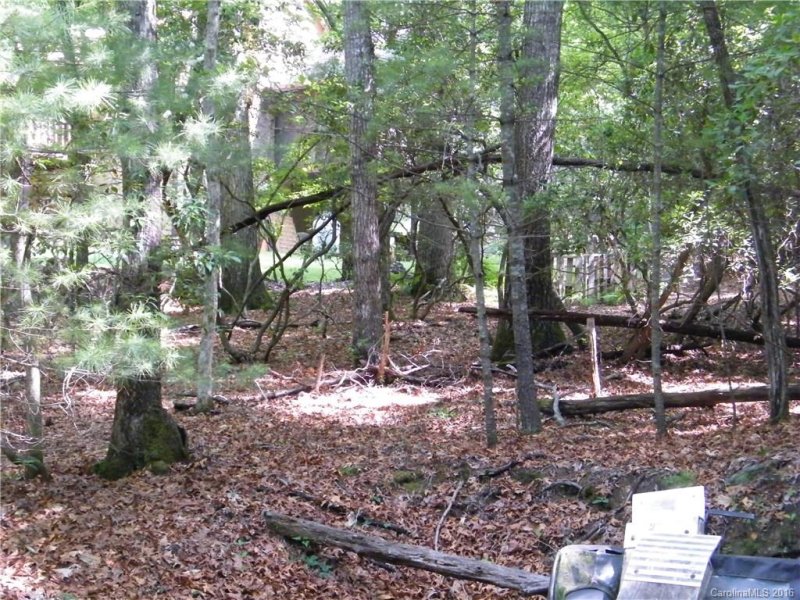 Property image 4 at 46 Kentwood Lane, Pisgah Forest, NC 28768